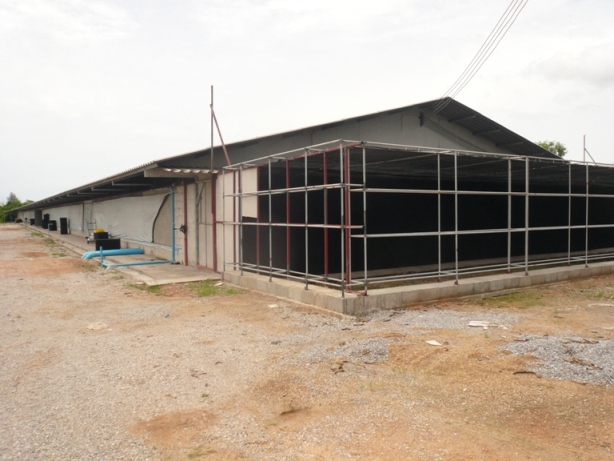 ระบบบำบัดกลิ่นแอมโมเนีย