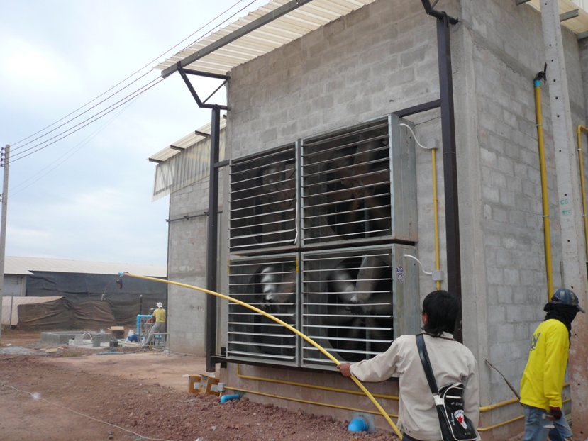 การวัดแอมโมเนีย