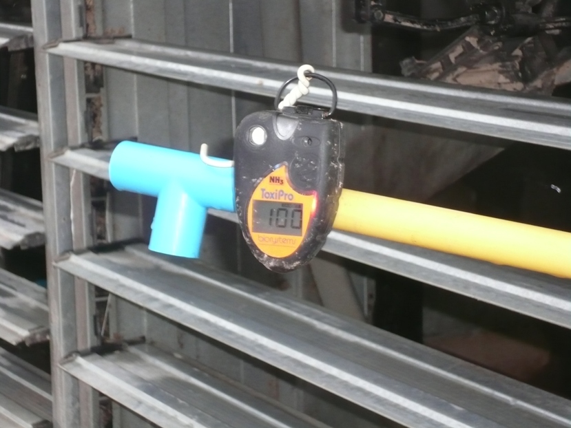 ค่าแอมโมเนียที่อ่านได้ก่อนเปิดระบบ